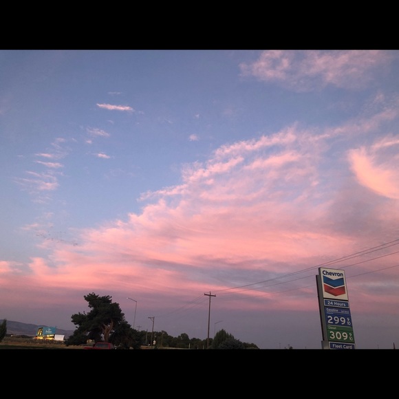 Meet your Posher, Audrey - Picture 1 of 1